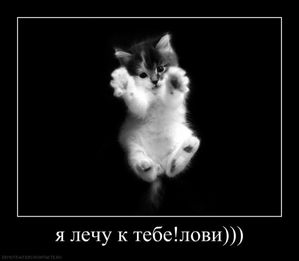 Демотиватор сладких снов