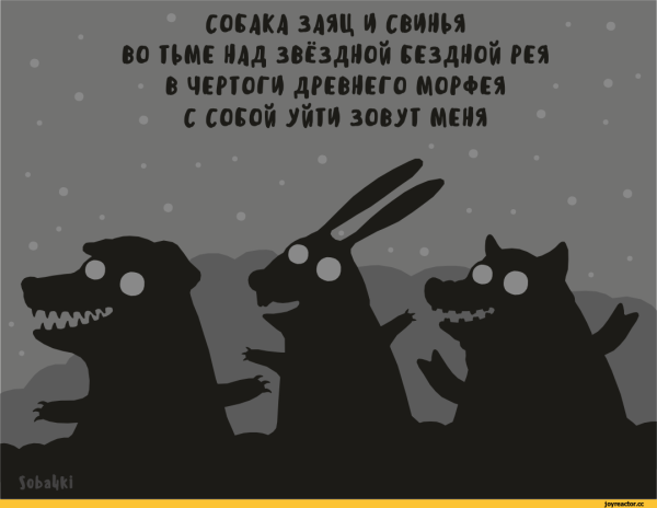 Спокойной ночи прикол