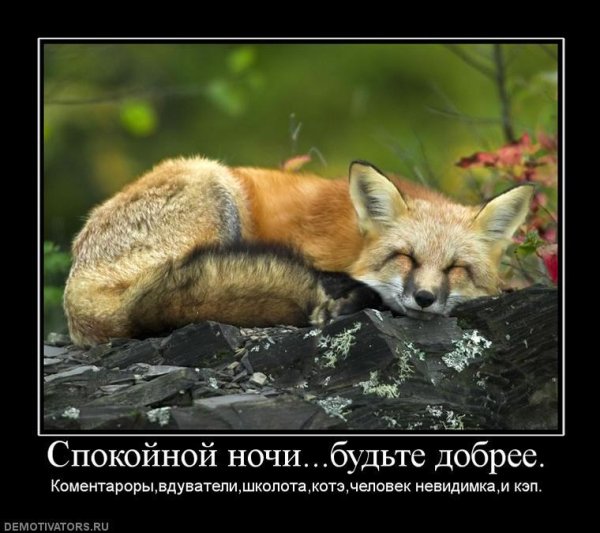 Демотиваторы доброй ночи