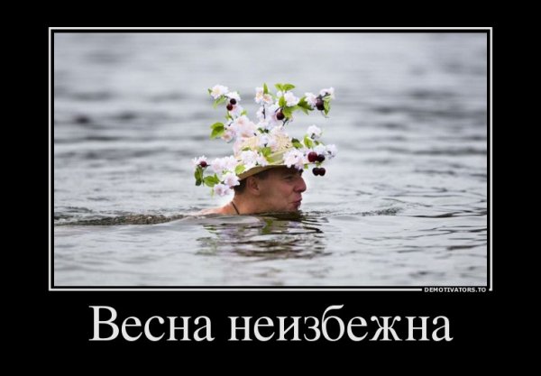 Шутки про весну