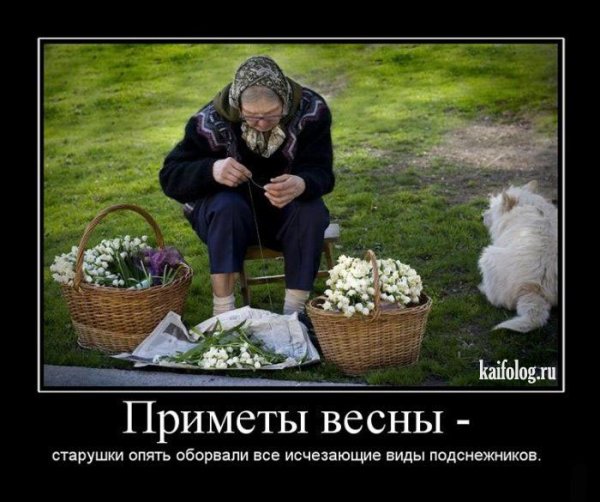 Демотиваторы про весну