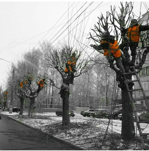 Узбеки прилетели
