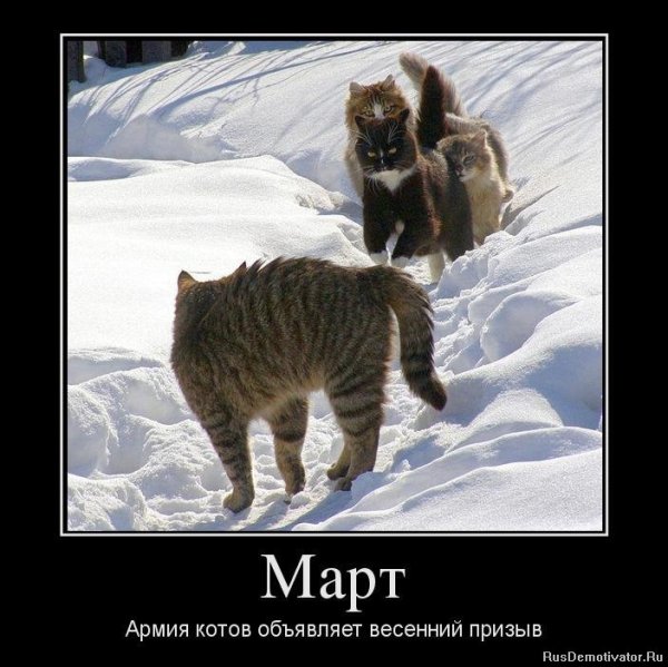 Демотиваторы про весну