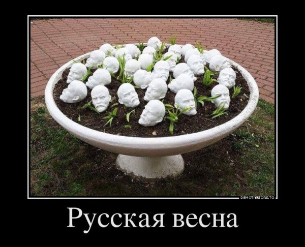 Весенние демотиваторы