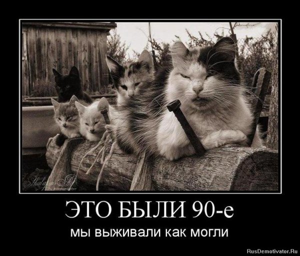 Прикольные демотиваторы
