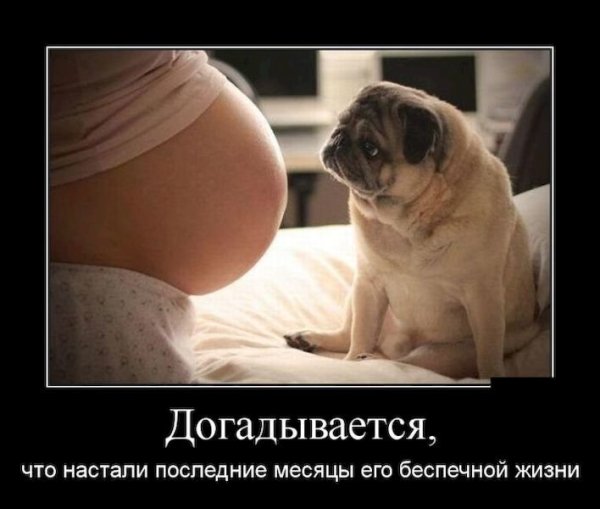 Демотиваторы позитивные смешные