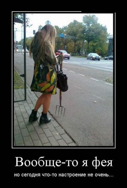 Демотиваторы для поднятия настроения