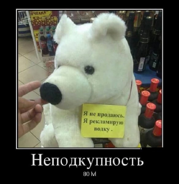 Демотиваторы поднимающие настроение