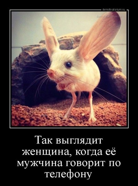 Прикольные для поднятия настроения