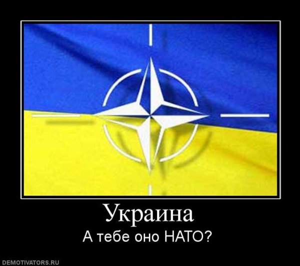 Демотиваторы про НАТО И Россию