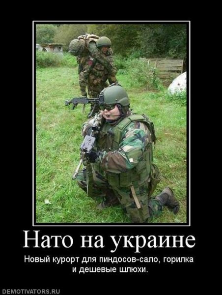 Демотиватор Украина в НАТО