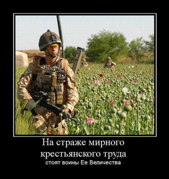 Солдат демотиватор