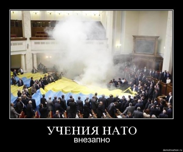 НАТО демотиваторы