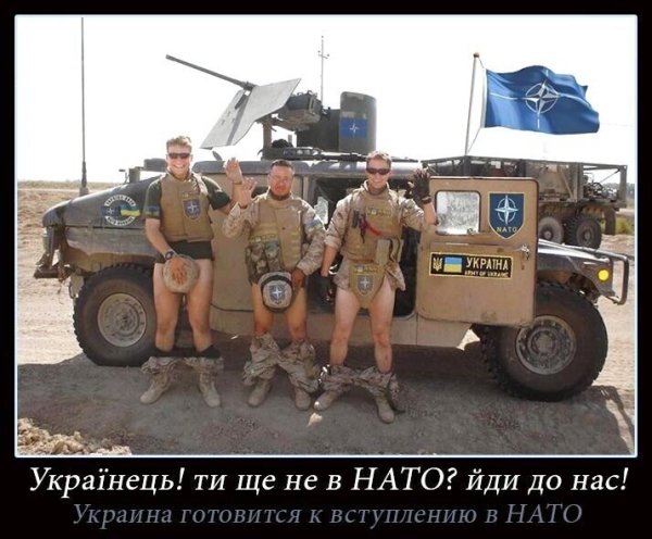 НАТО демотиваторы