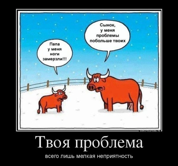Демотиваторы смешные