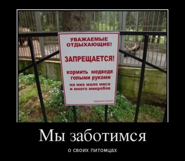 Работа юмор