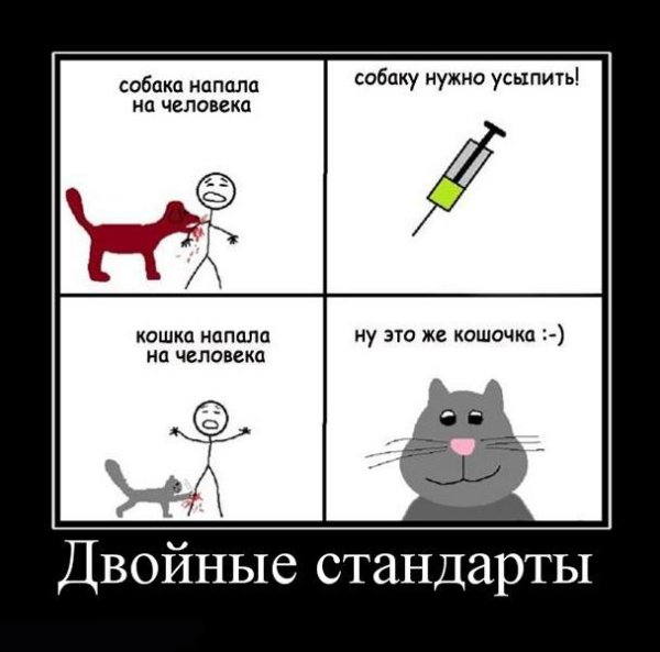 Двойные стандарты демотиватор