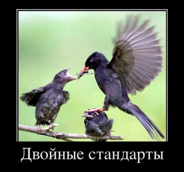 Двойные стандарты прикол