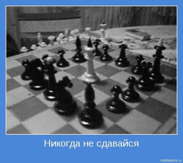 Андрей Козырев МИД