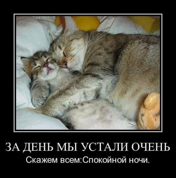 Мотиваторы смешные