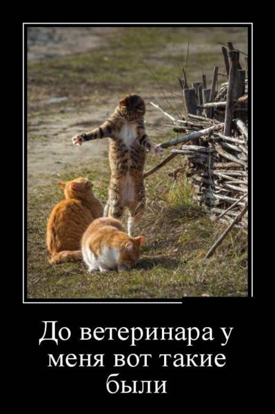 Демотиваторы смешные