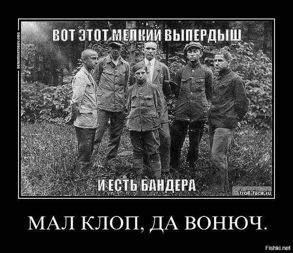 Бандеровцы демотиваторы