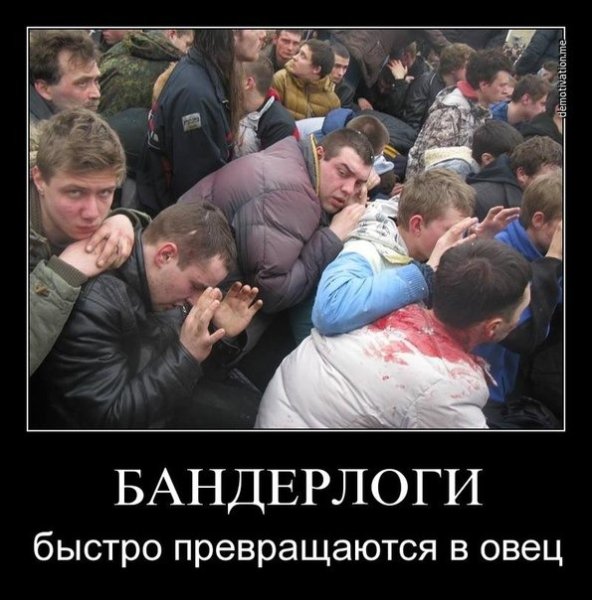 Ватник демотиваторы