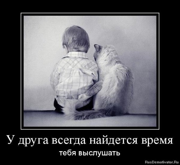 Настоящая Дружба