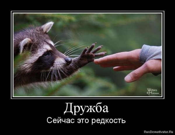 Дружба картинки прикольные