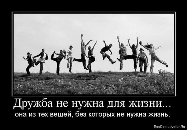 Смешные фразы про друзей