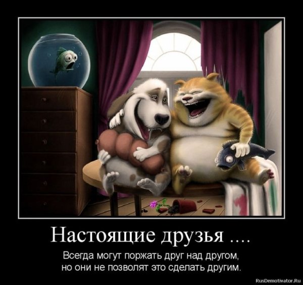Настоящие друзья