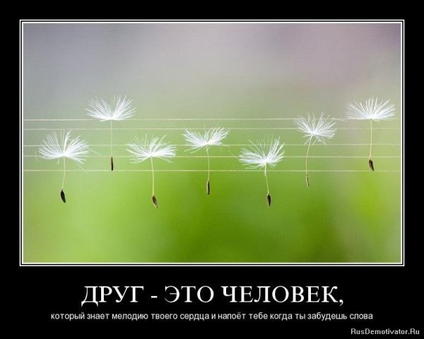 Позитивные высказывания о дружбе