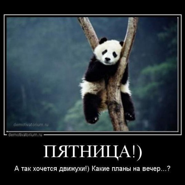 Пятница демотиваторы
