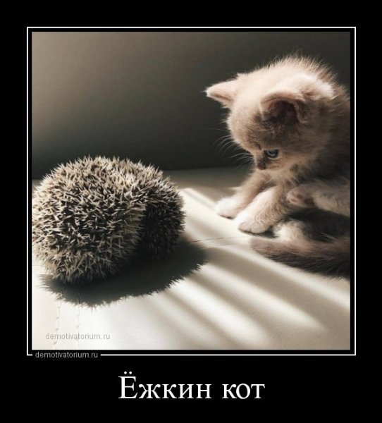 Демотиваторы со смыслом