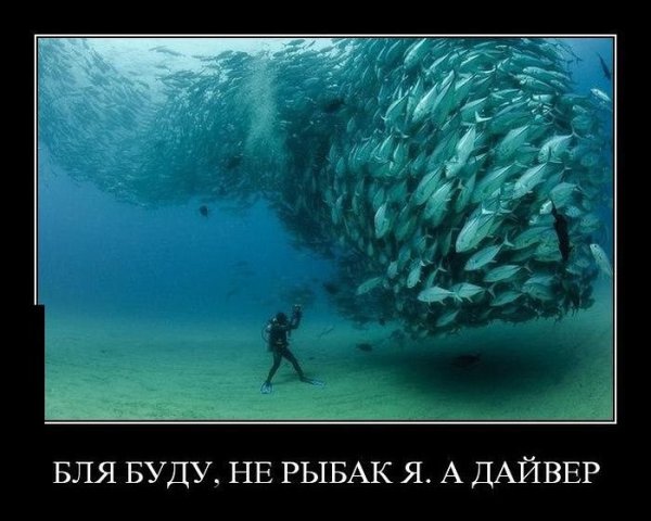Демотиваторы позитивные смешные