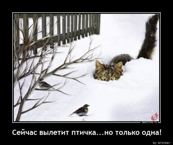 Шутки про девушек в картинках