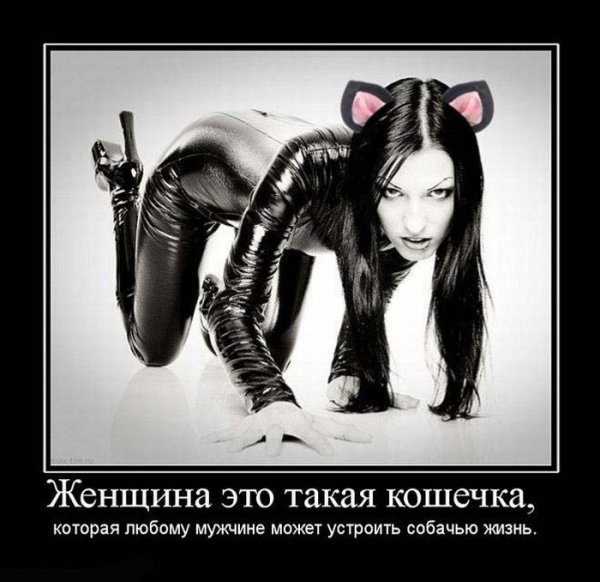 Демотиваторы про злых женщин