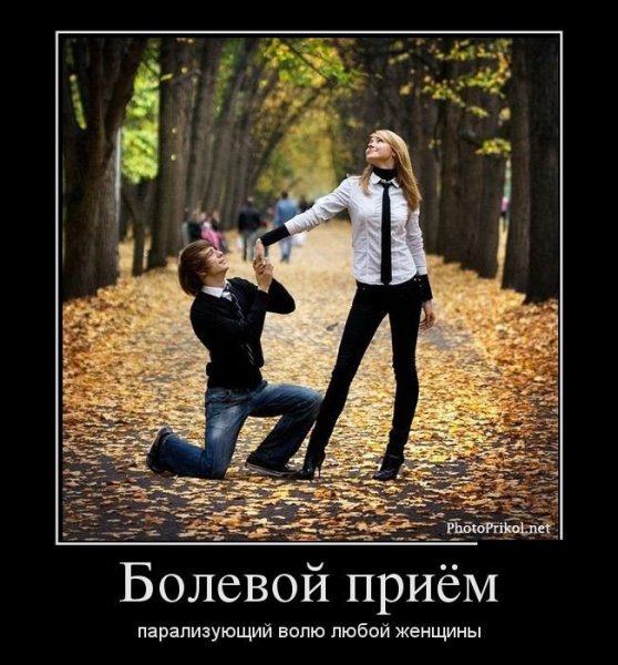 Картинки демотиваторы для поднятия настроения