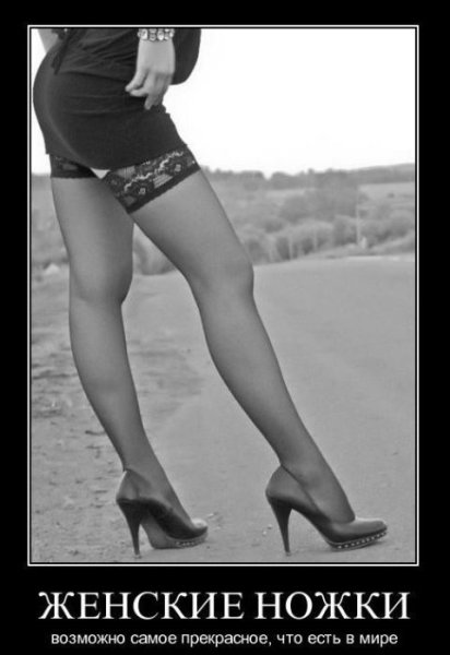 Цитаты про женские ножки