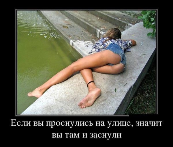 Русские в Египте приколы