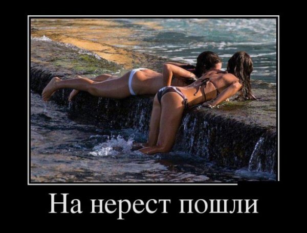 Демотиваторы про баб