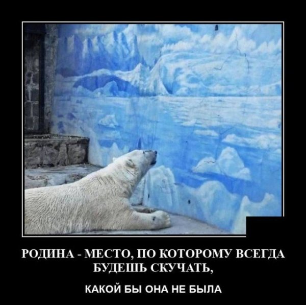 Очень смешные демотиваторы