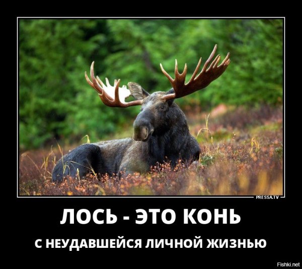 Анекдоты про измену