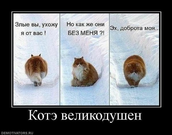Злые вы уеду от вас