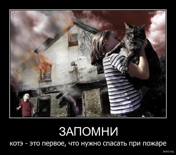 Пожар демотиватор