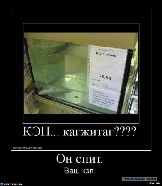 Капитан очевидность демотиваторы