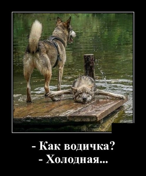 Демотиваторы ржачь