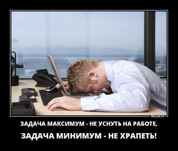 Спит на работе смешные