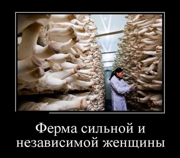 Правила русской речи на производстве