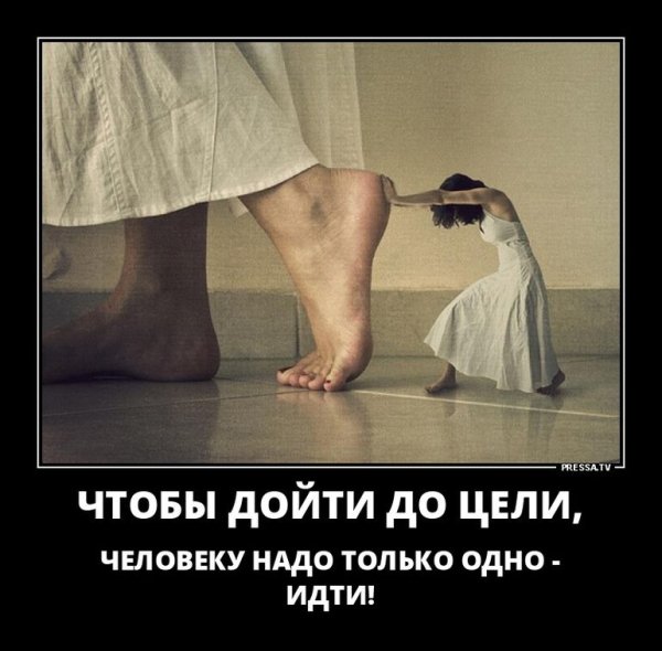 Мотиваторы юмористические